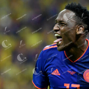 Yerry Mina