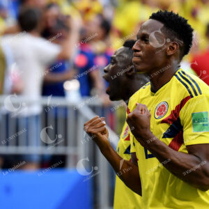 Yerry Mina
