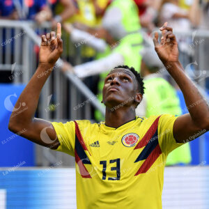Yerry Mina