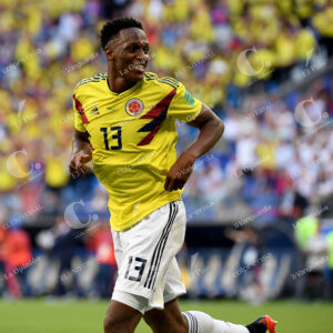 Yerry Mina