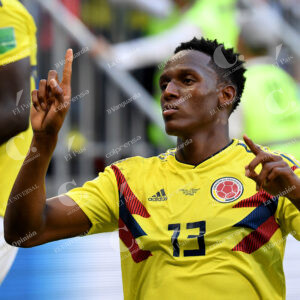 Yerry Mina