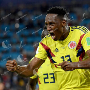 Yerry Mina
