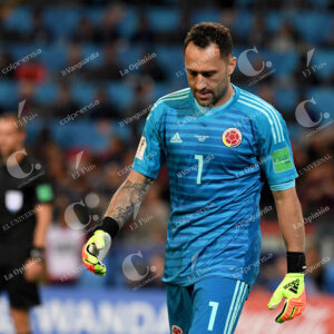 David Ospina