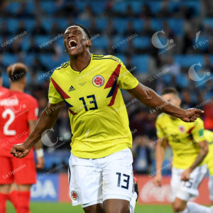 Yerry Mina