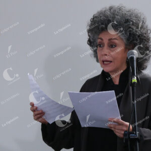 Doris Salcedo