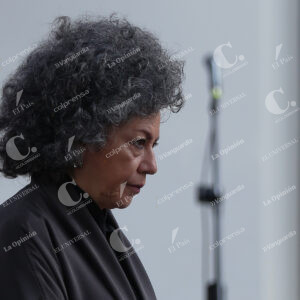 Doris Salcedo