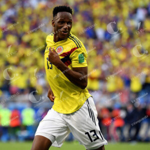 Yerry Mina