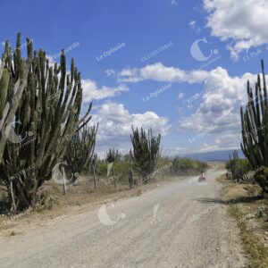 Desierto de la Tatacoa