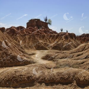 Desierto de la Tatacoa