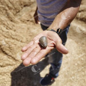 Desierto de la Tatacoa