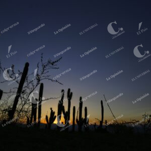 Desierto de la Tatacoa