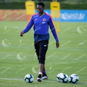 Yerry Mina