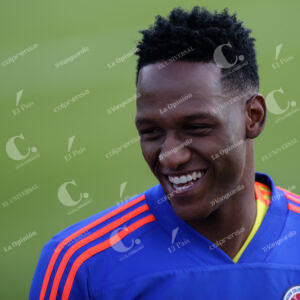 Yerry Mina