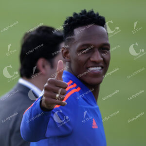 Yerry Mina