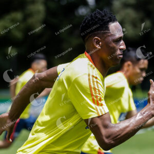 Yerry Mina