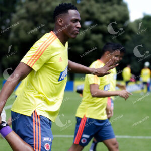 Yerry Mina