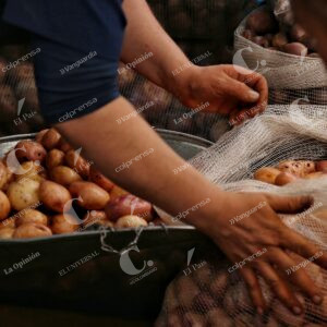 Corabastos