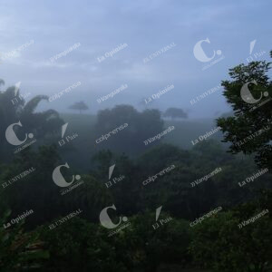 Paisaje Rural Cafetero