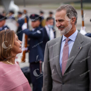 Rey Felipe VI de España