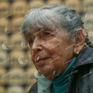 Beatriz González