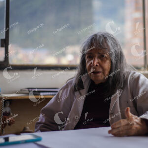 Beatriz González