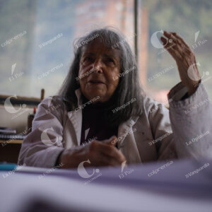 Beatriz González