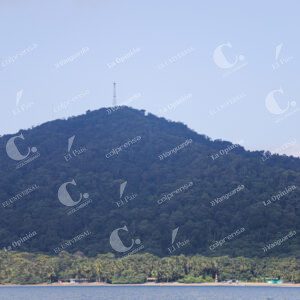 Isla Gorgona