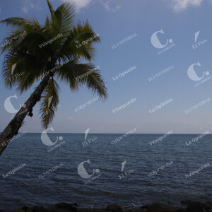 Isla Gorgona