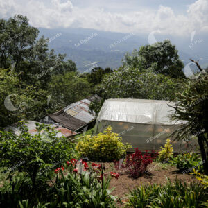 Finca Cafetera