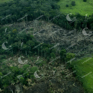 Deforestación