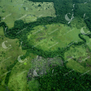 Deforestación