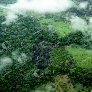 Deforestación