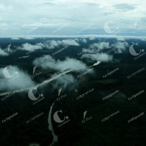 Deforestación