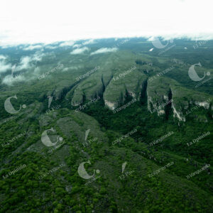Deforestación