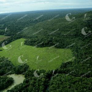Deforestación