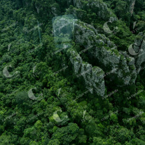 Deforestación
