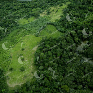 Deforestación