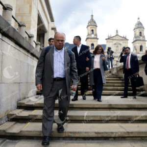 Luis Alonso Colmenares