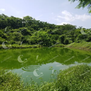 La Guajira