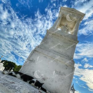 Gatos del Cementerio de Mompox