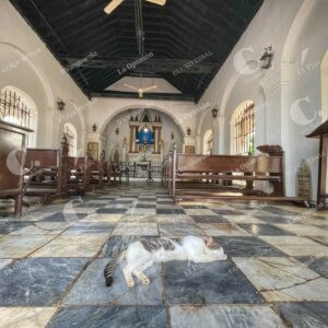 Gatos del Cementerio de Mompox