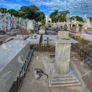 Gatos del Cementerio de Mompox