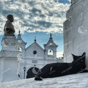 Gatos del Cementerio de Mompox