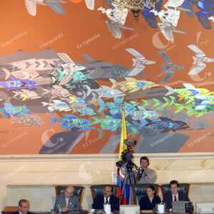 Paramilitares en el Congreso