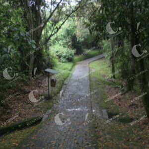 San Agustín