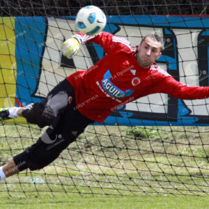 David Ospina