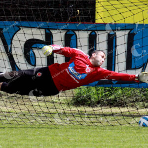 David Ospina