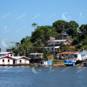 Amazonas