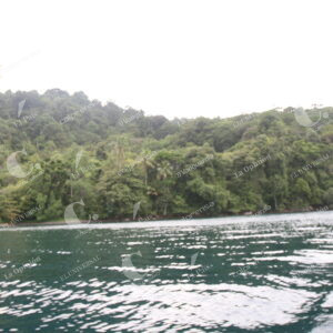 Isla Gorgona