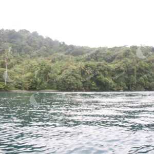 Isla Gorgona